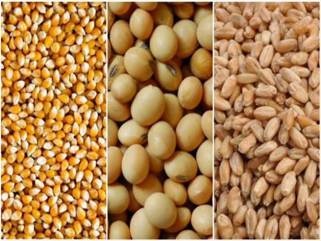 Canal Rural tweet media