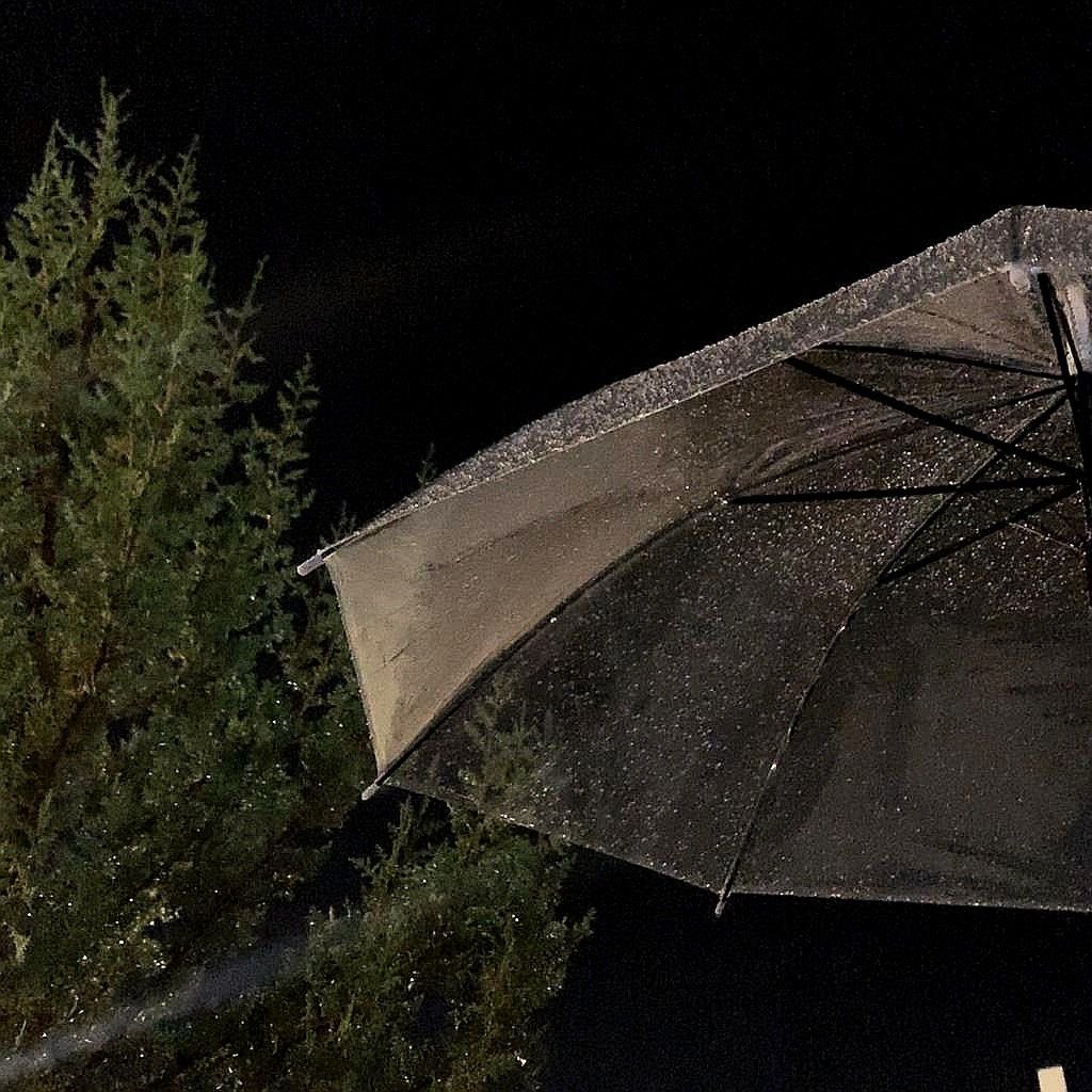 𖥔  ˑ  ִ  ֗     ruleta rápida     🐨

                        🏆 20 rbx

— seguirnos con notis.
— dar fav y rt a este post.
— dar fav y rt al post de abajo.

cierra mañana.