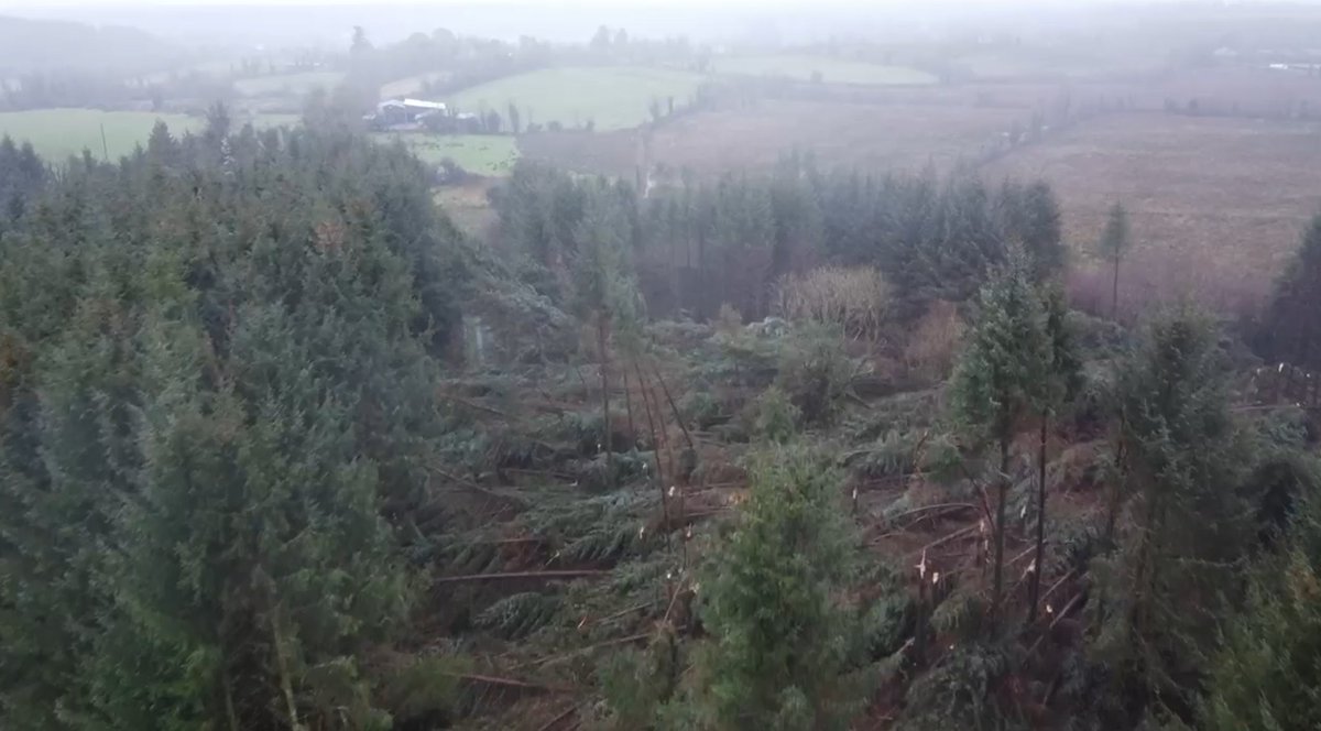 So many of us completely frustrated in Leitrim having being told that the power possibly won’t be back in some areas until at least the 5th Feb. But I think it’s important to point out it’s not the ESBs fault. They’re working flat out into the night in really challenging 🧵