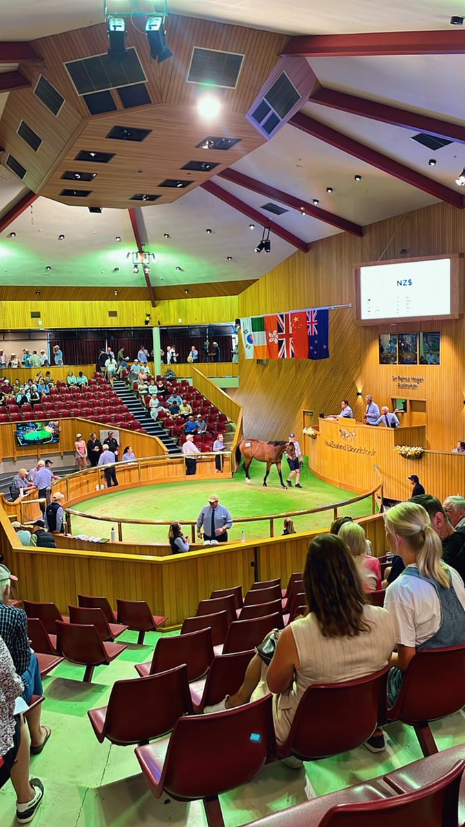 Martin Buick (@martinbuick) on Twitter photo Itβs a wrap for my phenomenal trip to AUS/NZ. Nice to catch up with friends new & old. Special thanks to <a href="/mmsnippets/">Magic Millions</a> & <a href="/KarakaChat/">New Zealand Bloodstock</a> for hosting me for their sales.
Great to be involved in the purchasing of 3 nice yearlings by Capitalist, Kingman & Palace Pier π¦πΊ π³πΏ Itβs a wrap for my phenomenal trip to AUS/NZ. Nice to catch up with friends new & old. Special thanks to <a href="/mmsnippets/">Magic Millions</a> & <a href="/KarakaChat/">New Zealand Bloodstock</a> for hosting me for their sales.
Great to be involved in the purchasing of 3 nice yearlings by Capitalist, Kingman & Palace Pier π¦πΊ π³πΏ