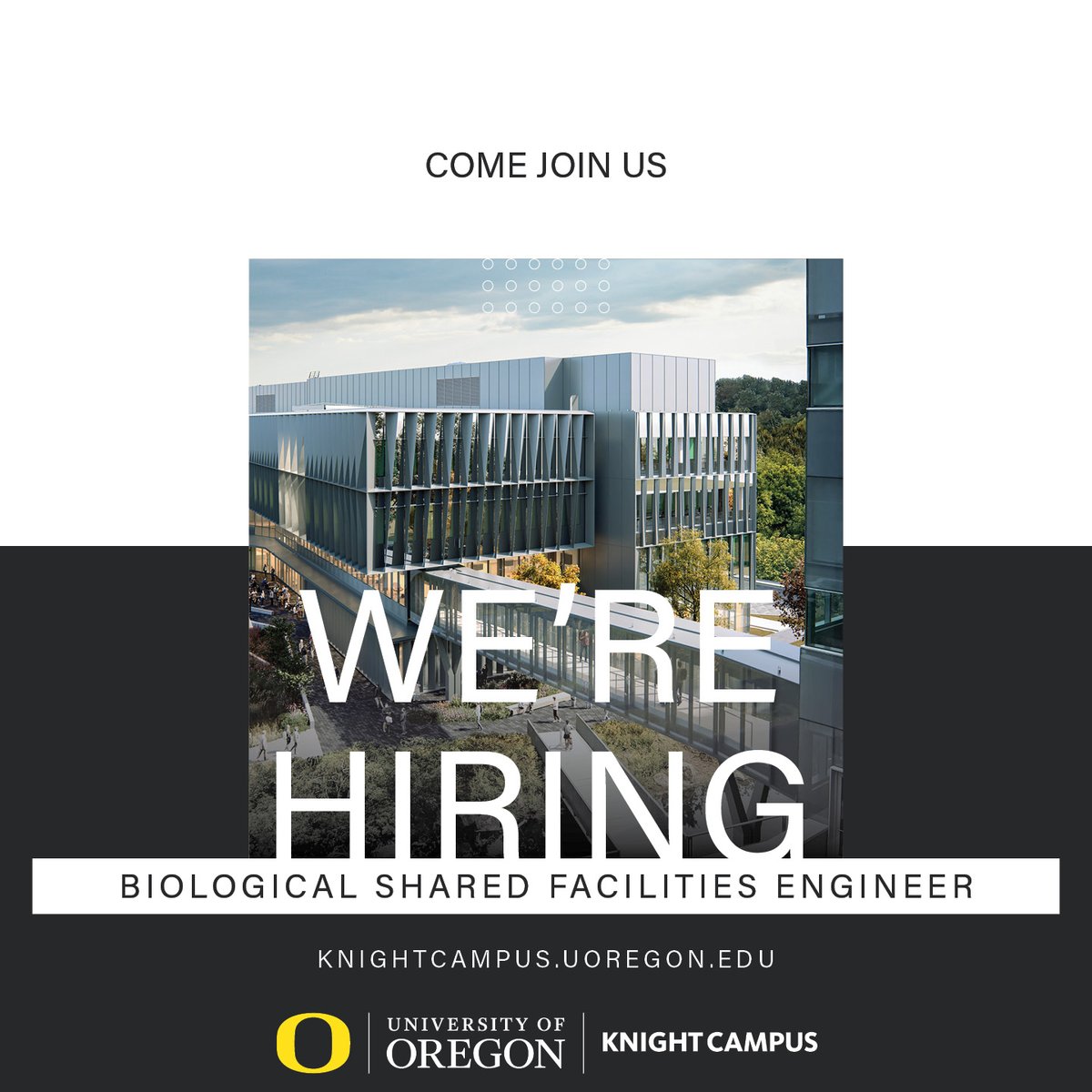 UOKnightCampus's tweet photo. Join #KnightCampus as a Biological Shared Facilities Engineer! Help establish and manage cutting-edge bioanalysis and biofabrication tools in our state-of-the-art facilities. A unique opportunity and a dynamic team. Learn more: https://t.co/10JKcwZVcB #Bioengineering #UOResearch https://t.co/KQK1vl5WJF