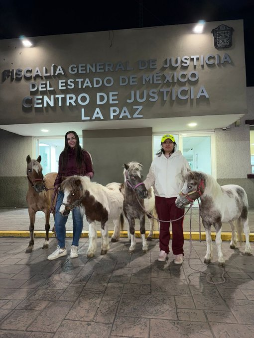 adn Noticias tweet media