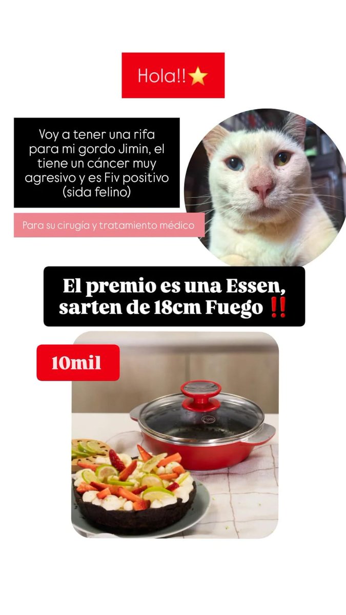revngerard's tweet image. hola! aunque no me siguen muchos de paraguay vuelvo a publicar la rifa donde estoy sorteando 1 SARTÉN ESSEN para el tratamiento d 1 d mis gatos rescatados diagnosticado con micoplasmosis, fiv (sida felino) y cáncer. cualquier consulta acá o x priv. me ayudan mucho compartiendo 🫶