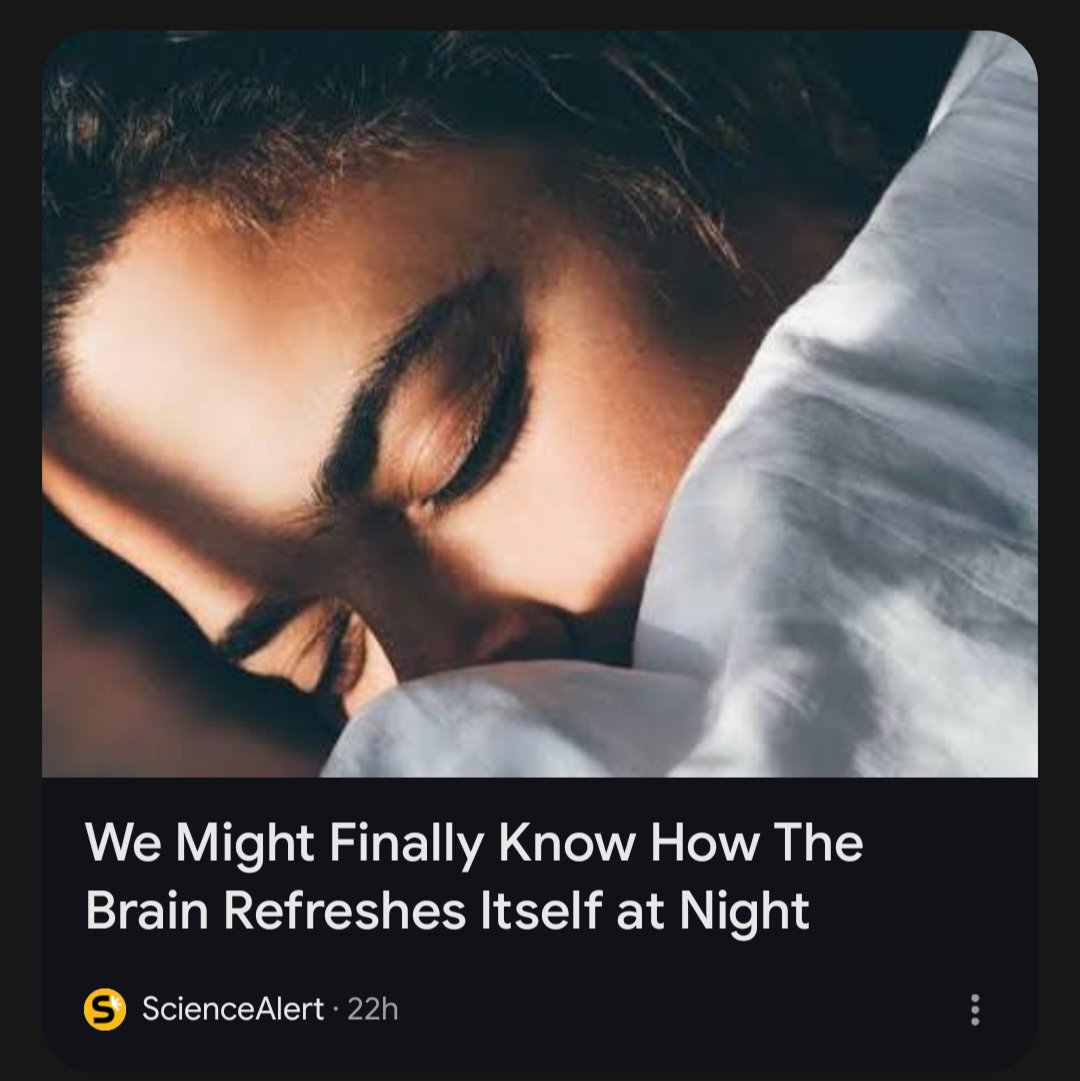 BreakingNewsJoe's tweet photo. Sleep Discovered by Scientific News Site https://t.co/HcnqH4Fupx