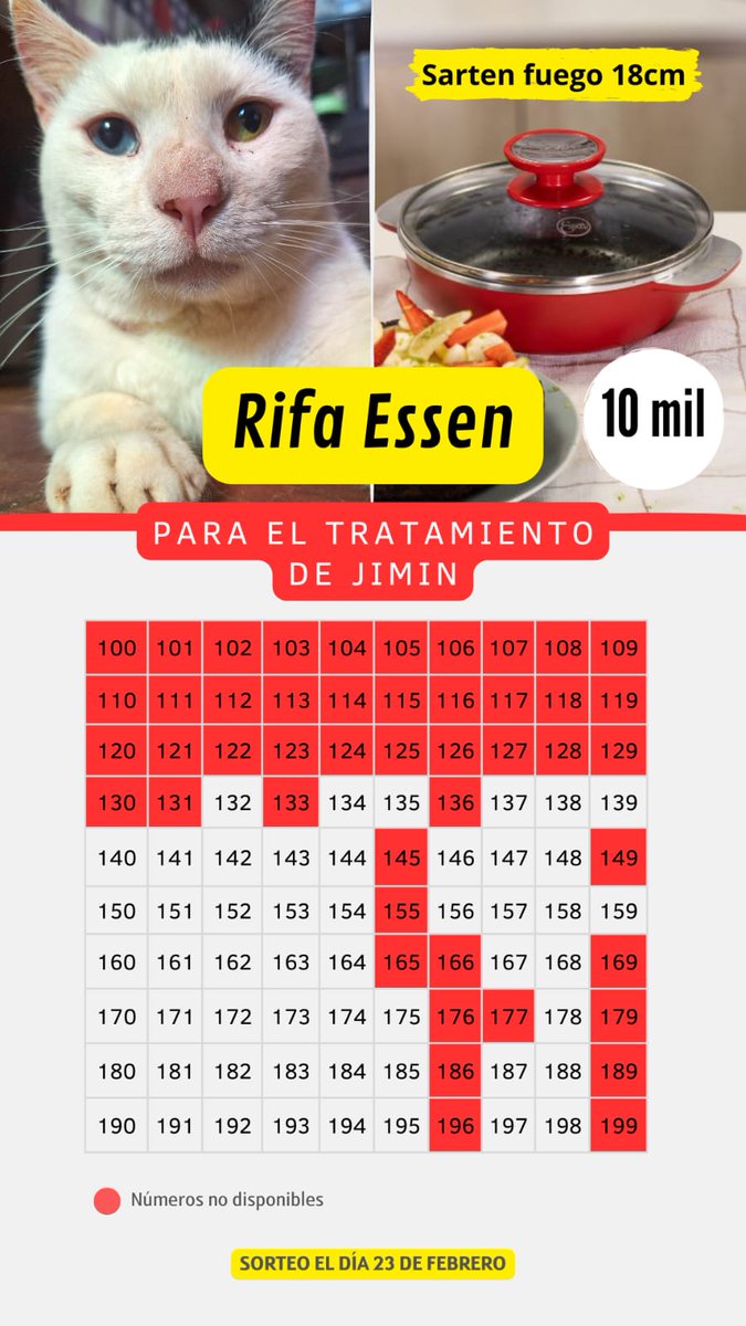 revngerard's tweet image. hola! aunque no me siguen muchos de paraguay vuelvo a publicar la rifa donde estoy sorteando 1 SARTÉN ESSEN para el tratamiento d 1 d mis gatos rescatados diagnosticado con micoplasmosis, fiv (sida felino) y cáncer. cualquier consulta acá o x priv. me ayudan mucho compartiendo 🫶