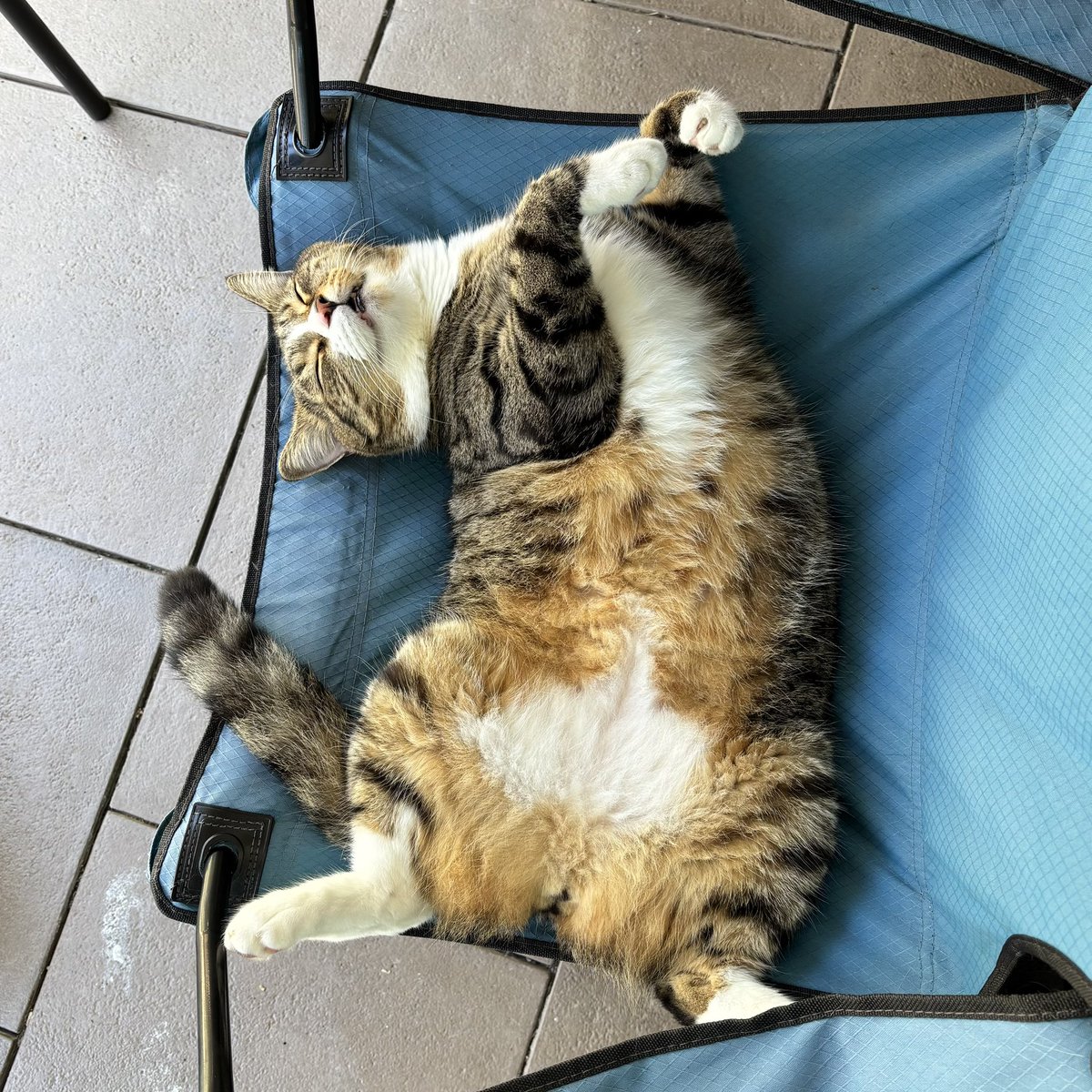 you Wish you were as Comfy as Me!!!