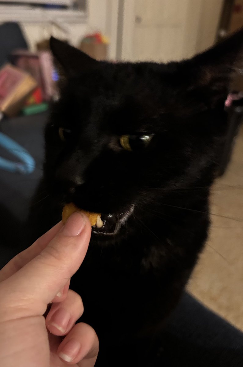 pashinsmumpkins's tweet photo. 2 nd night as a single mother. 
My boy is loving all the attention. https://t.co/5wdQW6K8nK