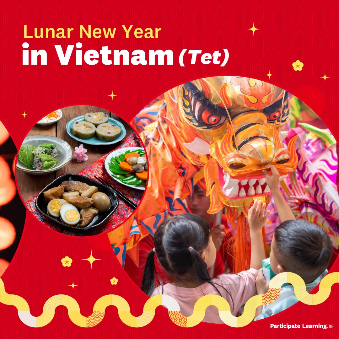 Participate Learning tweet media