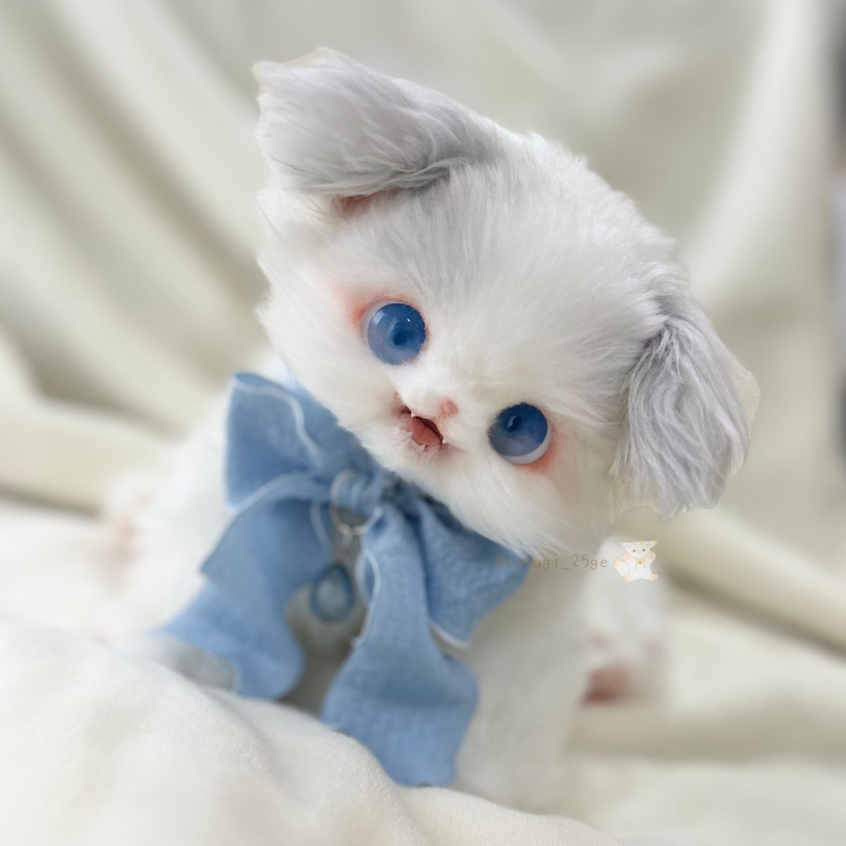 ハ*ビ様 komugi様✾ラグドールねこちゃん　アートドール ̗̀ new ̖́- ラグドールねこちゃん！ ピンクのお鼻と肉球がチャーム