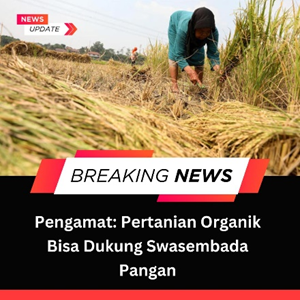 updatesivana's tweet photo. swasembada pangan demi indonesia maju https://t.co/u7y47ZPV46