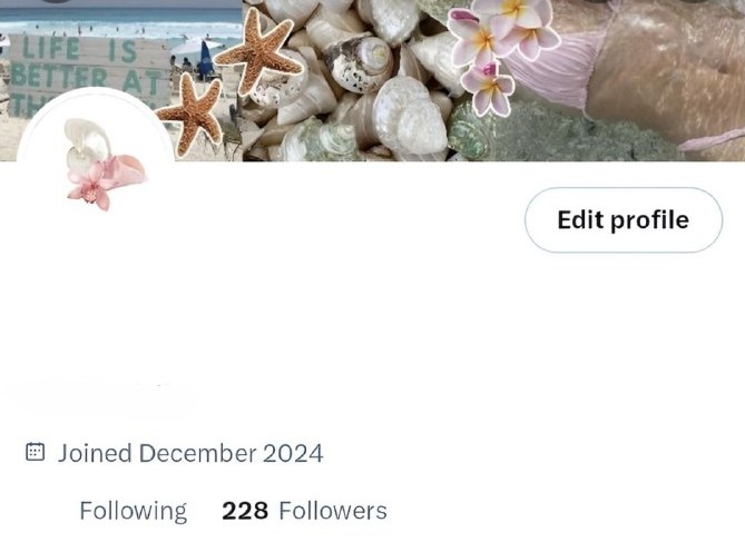 🛒 twitter x account for sale 
👛: ₱150 (130 lp)

ph based
220+ followers | dec 2024
pure gained (not boosted)
can bind access
not visible
no  violations  nor  any issues
good for any purposes

twta gcash lf twt acc