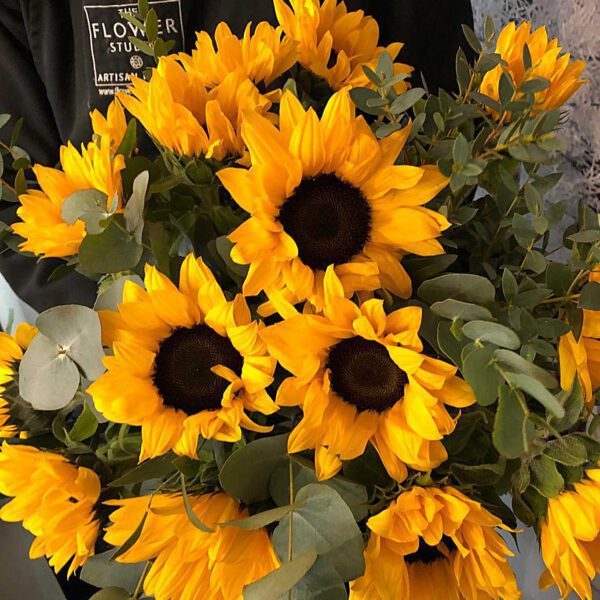 sunflowers and positivity only.