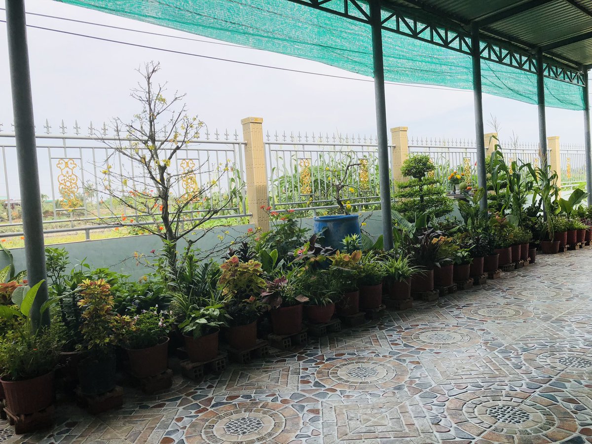 Kentle_watch's tweet photo. Chúc mừng năm mới 2025! Kent Le xin kính chúc Quý vị năm mới dồi dào Sức khoẻ, hạnh phúc và thành công!!! 

Happy Lunar New Year 2025!!
Wishing you good health, happiness, and great success!!! https://t.co/4sAMHU6Dpj