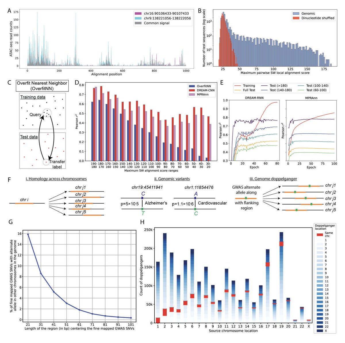 Detecting and Avoiding Homology-Based Data Leakage in Genome-Trained Sequence Models

1. This paper highlights a critical issue in genome-trained machine learning models: homology-based data leakage. Many genomic sequences share homologous regions across chromosomes, leading to