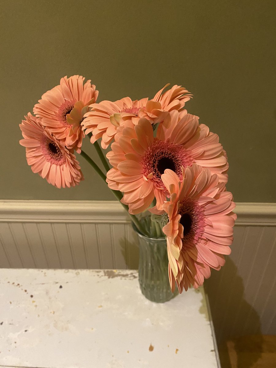 Amanda Fortini (@amandafortini) on Twitter photo 