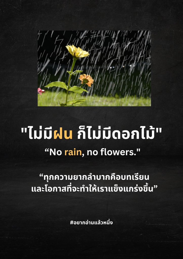 richlyquotes's tweet photo. 🌷 https://t.co/0H1WH56x03