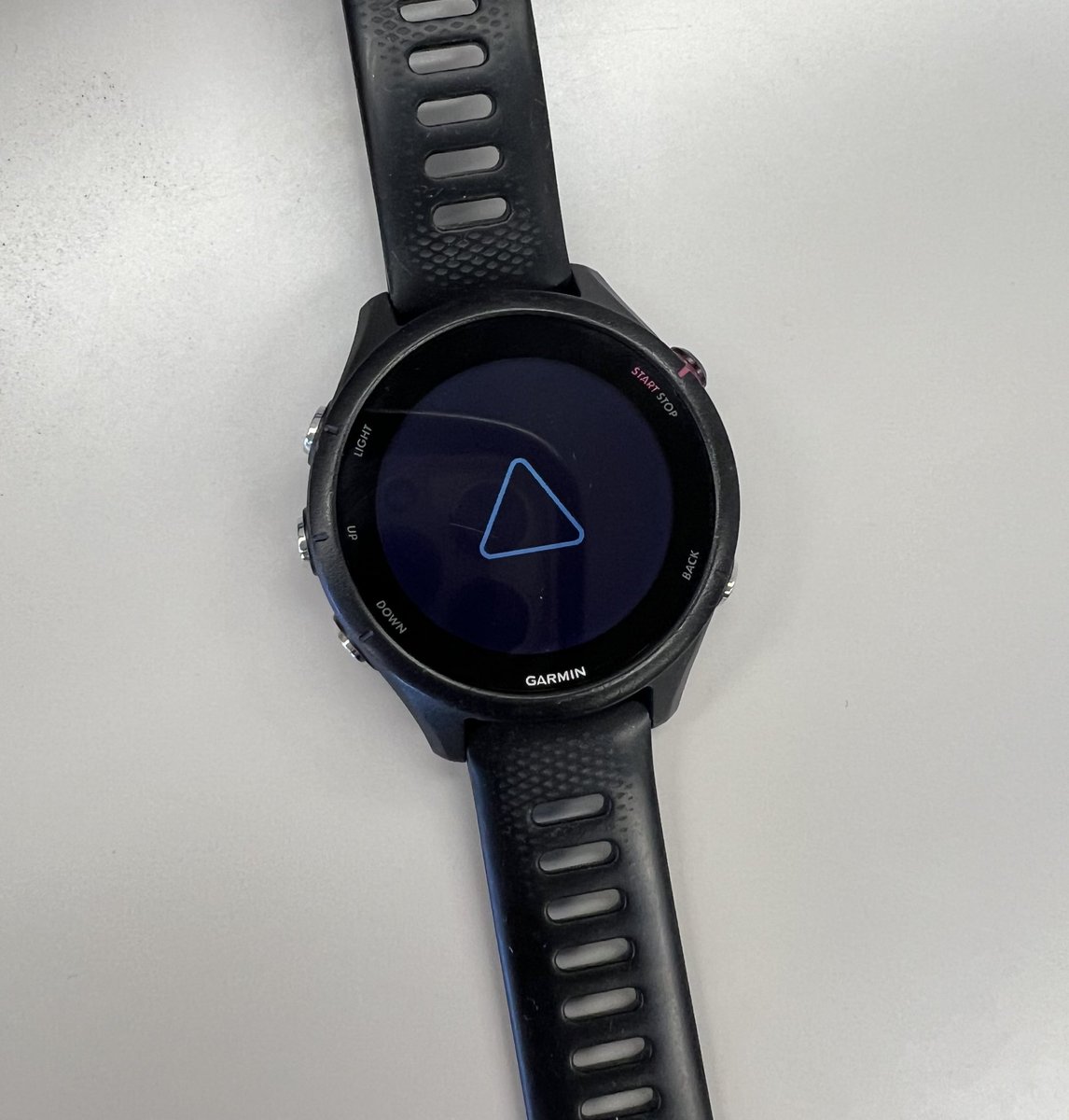 shirota1e's tweet photo. GARMINの呼吸が突然止まった。 https://t.co/f54XMYs1or