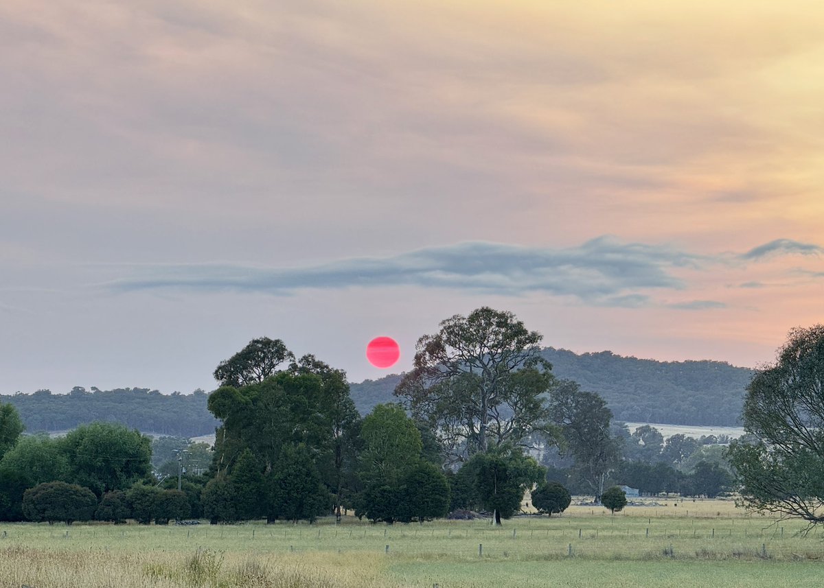 Took these photos at 6:45am today. I’ve never seen a sunrise like this before. Location: ODea Road, Molyullah, Victoria, Australia.