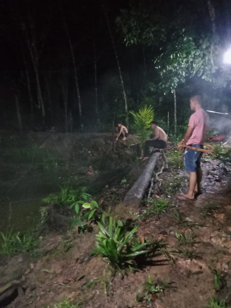 Ismail ogie tweet media