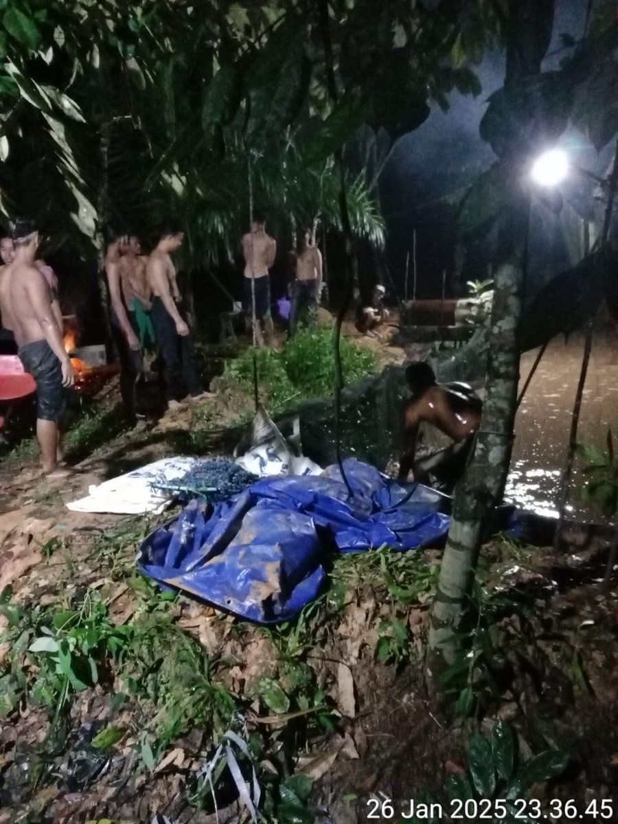 Ismail ogie tweet media