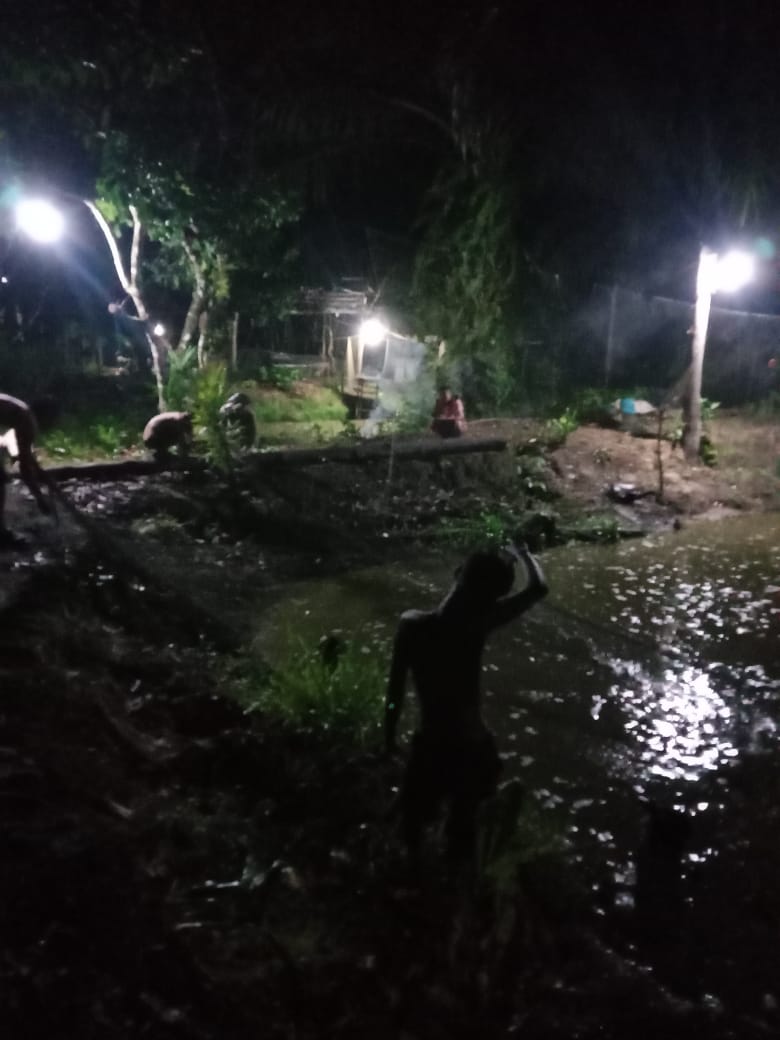 Ismail ogie tweet media