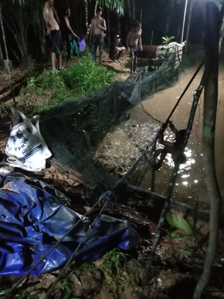 Ismail ogie tweet media