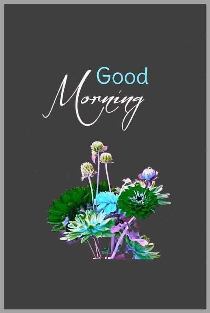 assalam u alikum 
good morning