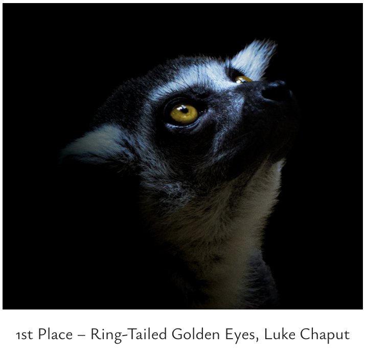 Congratulations to Luke Chaput from Green House for winning the George Masa Foundation's conservation photo contest! Check out his stunning photograph below and explore the other incredible winning entries on the Foundation's website.

georgemasafoundation.org/contest-winners