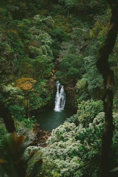 ffescalante13's tweet image. Photo By Jakob Owens | Unsplash - via @Crowdfire  
 #webcontent #swimmingpool #phonerepair #secondworldwar #framelessglasspoolfencing