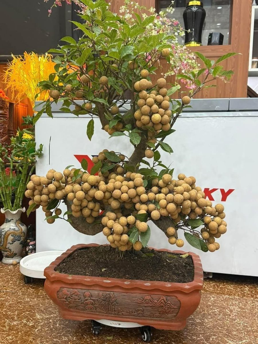 dudime_eth tweet media