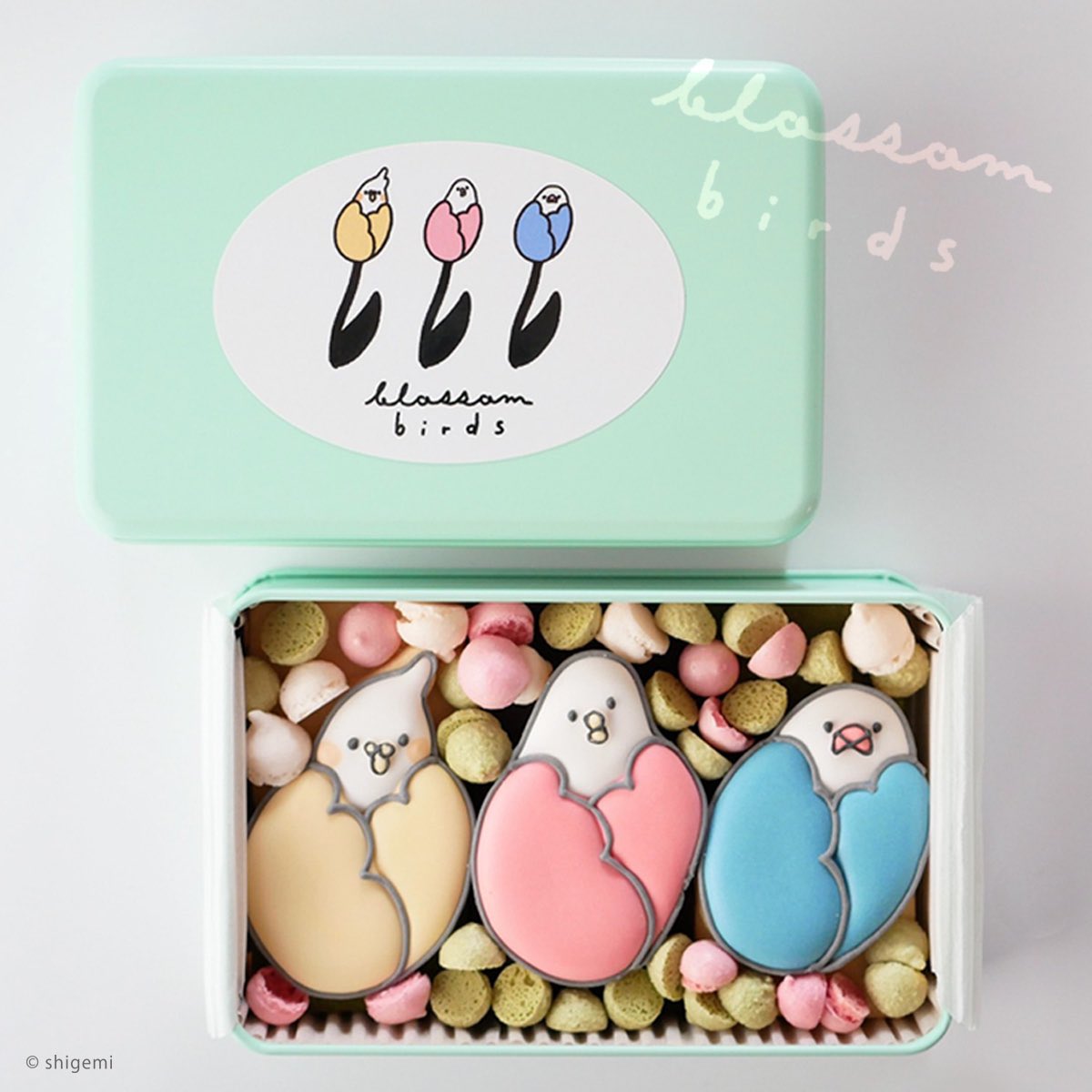 本日スタートです!
ことりカフェ × muchittori
◤‾‾‾‾‾‾‾‾‾‾‾
🌷 𝕓𝕝𝕠𝕤𝕤𝕠𝕞 𝕓𝕚𝕣𝕕𝕤 🌷
___________◢
in ことりカフェ上野本店
🌷1/29(水)〜3/3(月)
※定休日 2/4 .18 .25
▼店舗詳細 ⭐︎予約可能
https://t.co/XJXAiduy2O
#ことりカフェ
#むちっ鳥カフェ
