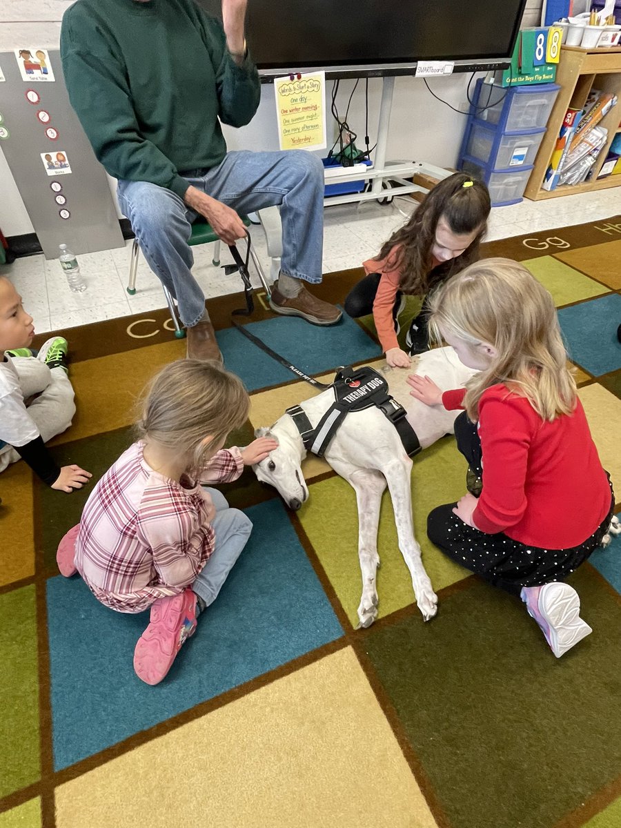 MTL_CSZumpettaK's tweet photo. What a special morning in Room 2! We LOVED meeting Roxie and getting to read to her! Our #zumpettaszone friends are already counting down the days till our next visit with her. ❤️🐶 https://t.co/RXgMa0tFPJ