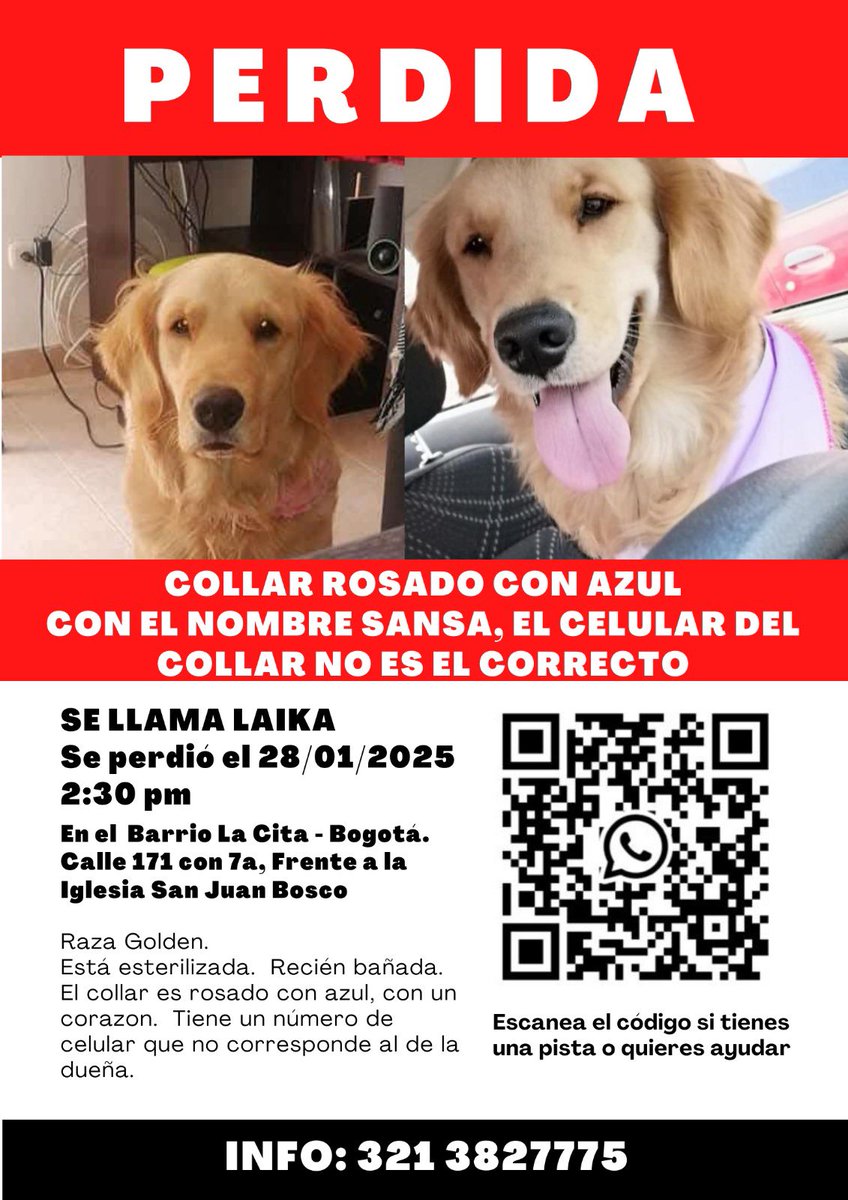 Camilo Jaramillo (@camilojaramill) on Twitter photo 🆘 Su familia busca a Sansa🐶, perdida hoy el 28 de enero en Bogotá, por favor compartamos 🙏
<a href="/MONYRODRIGUEZOF/">MÓNICA RODRÍGUEZ 🐤</a> <a href="/PlataformaALTO/">Plataforma ALTO</a> <a href="/Marce_Tabares/">Marce Tabares 🐶</a> <a href="/piedrahitangela/">Ángela Piedrahita 🐤</a> <a href="/DanielSamperO/">Daniel Samper Ospina</a> <a href="/HELIODOPTERO/">Gonzalo Guillén</a> <a href="/missfbe/">Daniela S.</a> @coraimatorresd <a href="/patrulleroefra/">Efrain Arce</a> <a href="/laurarubiogu/">Laura C</a> 🆘 Su familia busca a Sansa🐶, perdida hoy el 28 de enero en Bogotá, por favor compartamos 🙏
<a href="/MONYRODRIGUEZOF/">MÓNICA RODRÍGUEZ 🐤</a> <a href="/PlataformaALTO/">Plataforma ALTO</a> <a href="/Marce_Tabares/">Marce Tabares 🐶</a> <a href="/piedrahitangela/">Ángela Piedrahita 🐤</a> <a href="/DanielSamperO/">Daniel Samper Ospina</a> <a href="/HELIODOPTERO/">Gonzalo Guillén</a> <a href="/missfbe/">Daniela S.</a> @coraimatorresd <a href="/patrulleroefra/">Efrain Arce</a> <a href="/laurarubiogu/">Laura C</a>