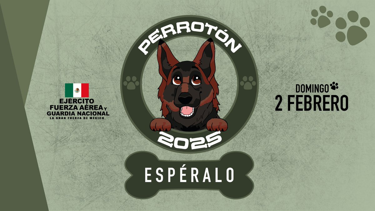 Defensamx1's tweet image. ¿Te imaginas asistir a un evento en donde muchos #Lomitos participarán en una carrera?
Mantente atento de nuestras redes sociales para más información del 1/er. #Perrotón de los amigos de #Arkadas.
#EjércitoMexicano, #FuerzaAéreaMx y #GuardiaNacional
