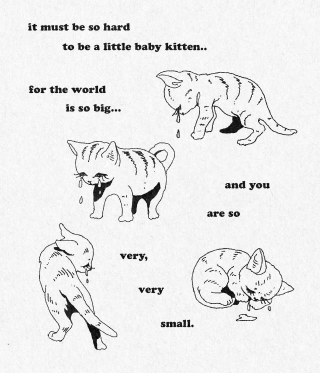 Punch Cat tweet media