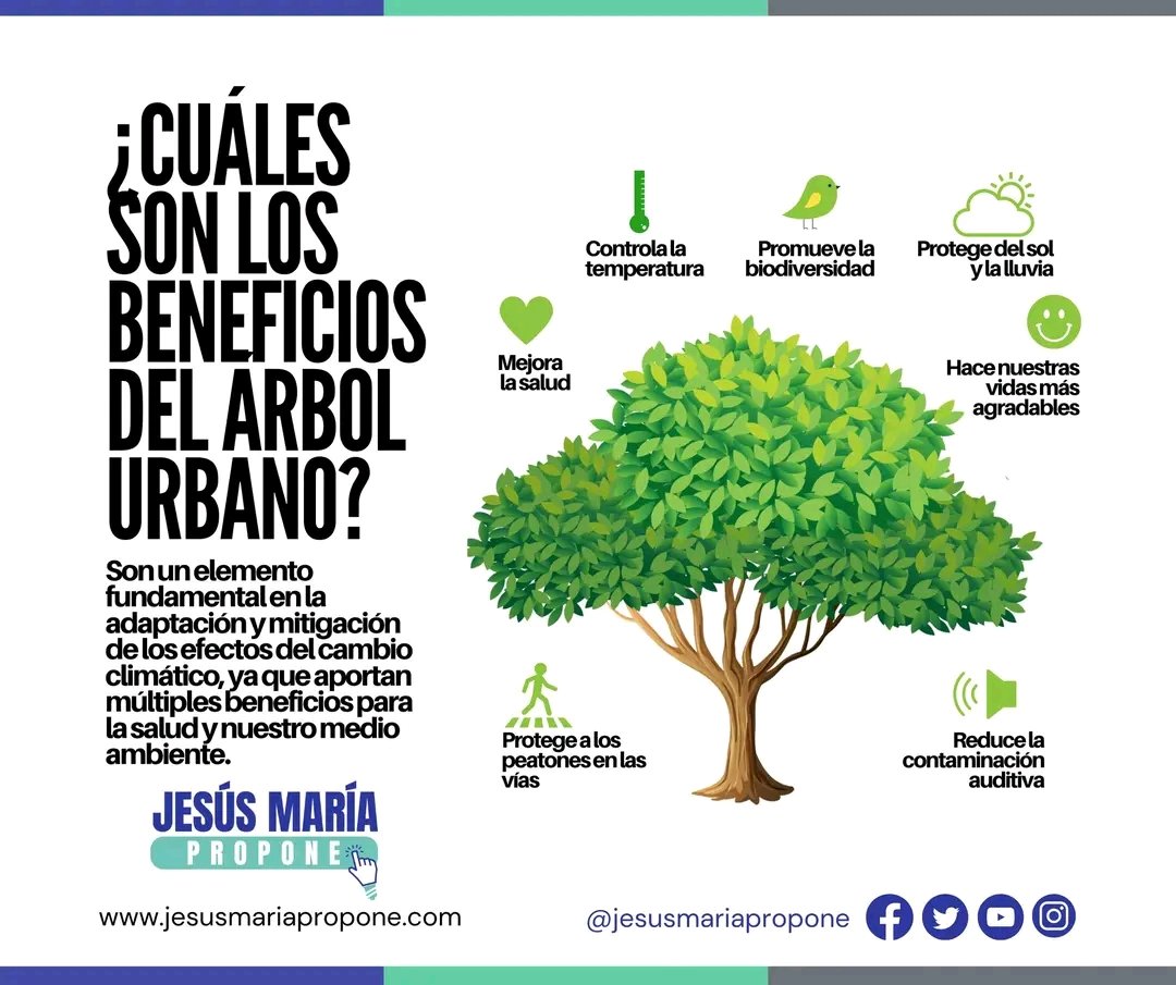 JPropone's tweet photo. #CulturaVerde 🌳🌏💚
Los árboles urbanos son árboles que se encuentran en zonas urbanas y que son de utilidad pública. Son un elemento fundamental en la adaptación y mitigación de los efectos del cambio climático, ya que aportan múltiples beneficios ambientales. https://t.co/qmDGQsoKu5