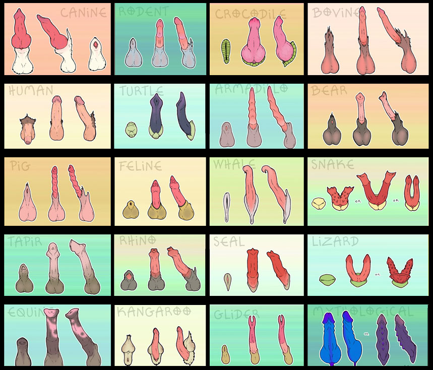 Pkmn Breeding Center tweet media