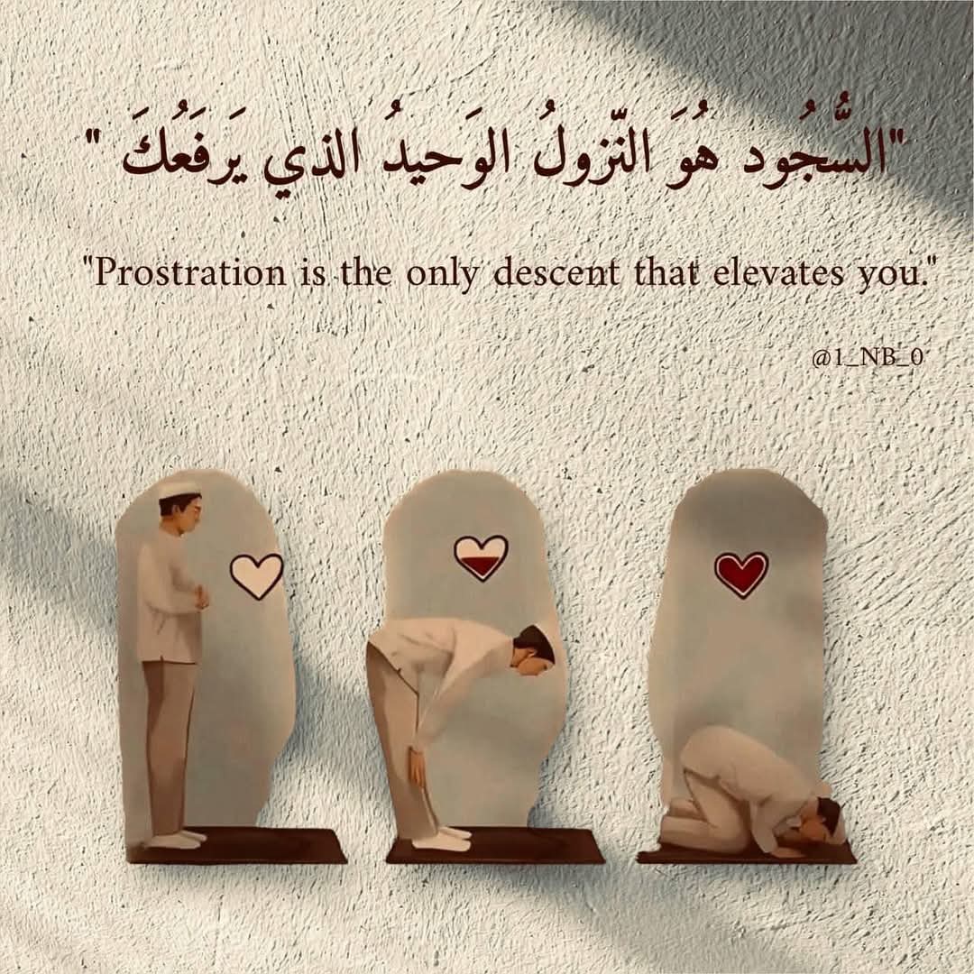 baseeil's tweet image. 