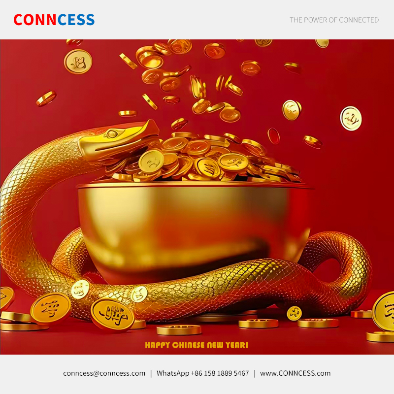 CONNCESS's tweet image. Happy Chinese New Year!🥳