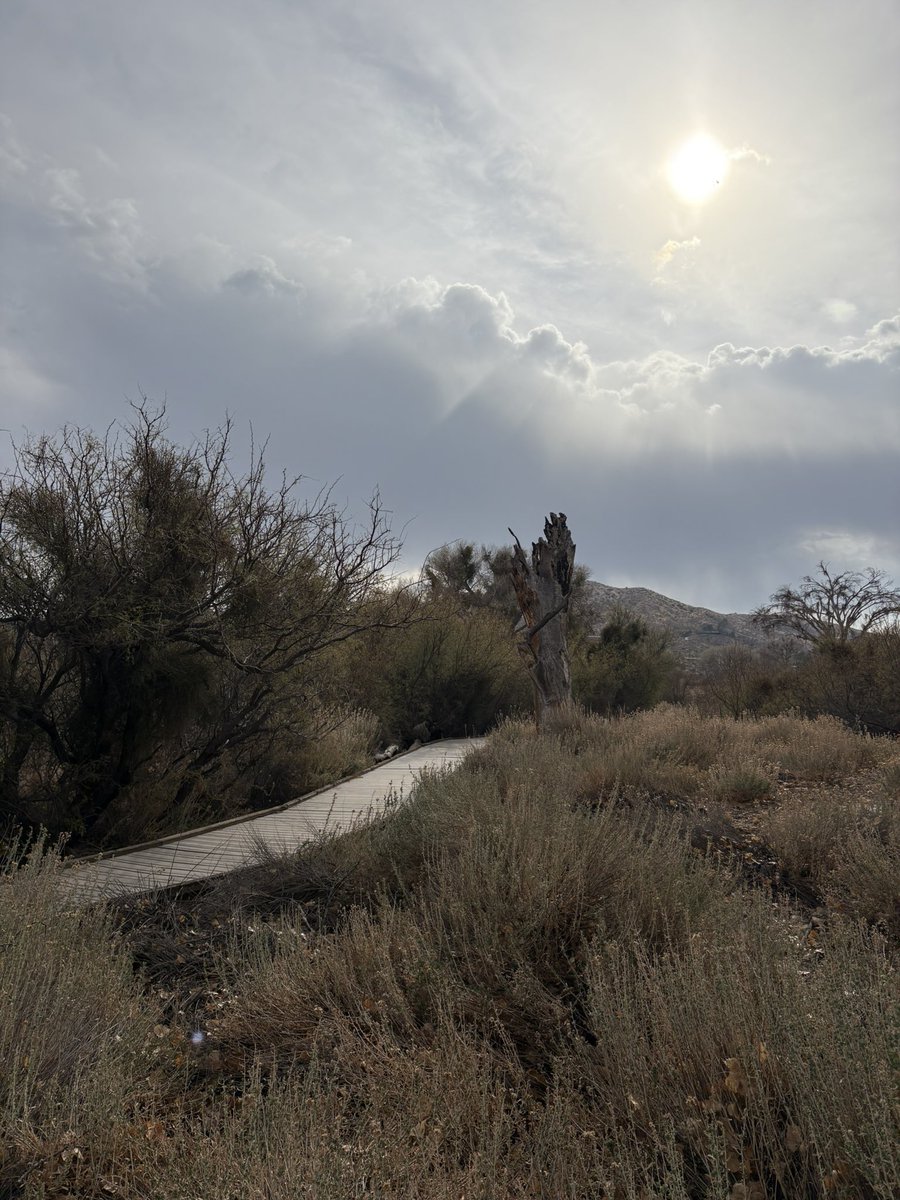 Rachel Good tweet media