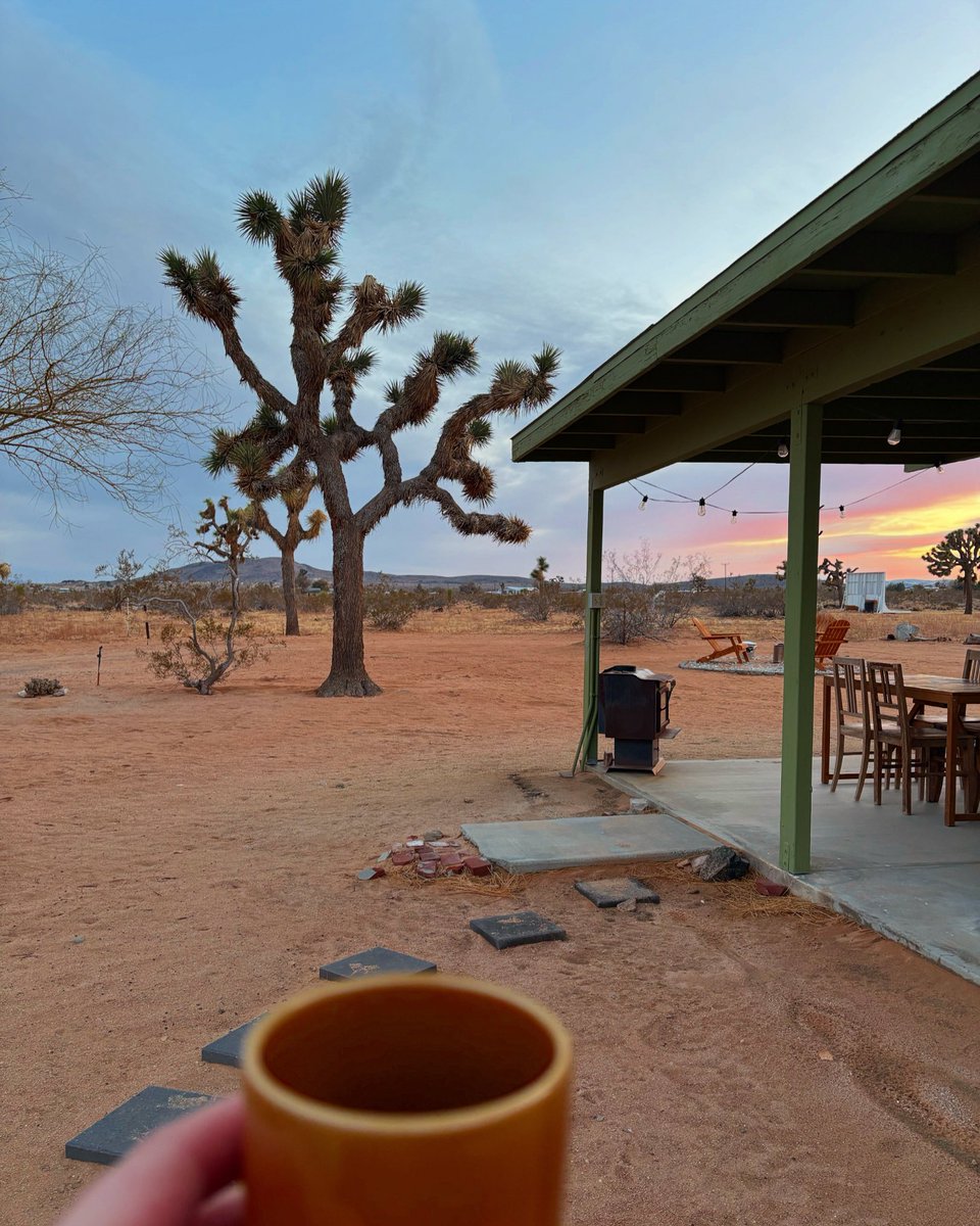 Rachel Good tweet media