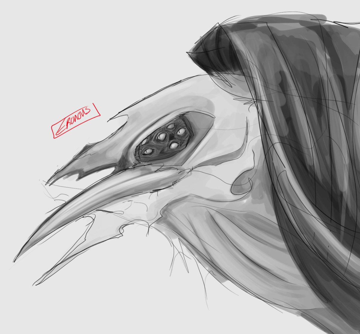 _Eronous's tweet photo. birb https://t.co/pBln0LRl50