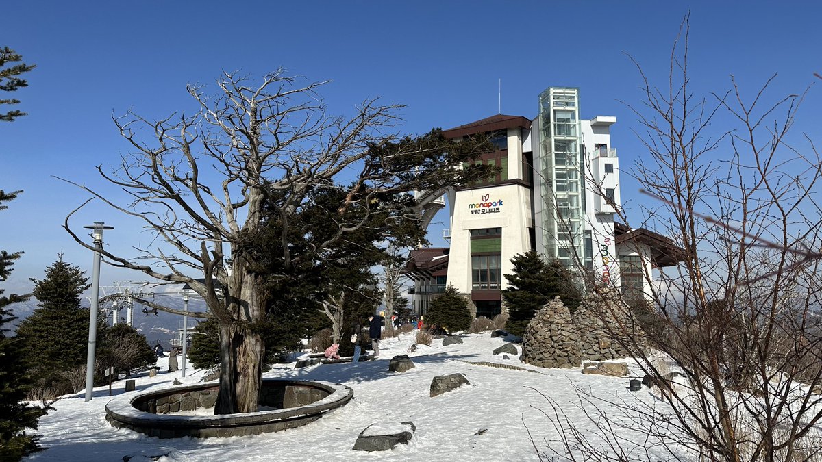 sensing's tweet photo. Best you can do during Seollal - visit a ski resort in Gangwon-do https://t.co/dSczEWtvRS