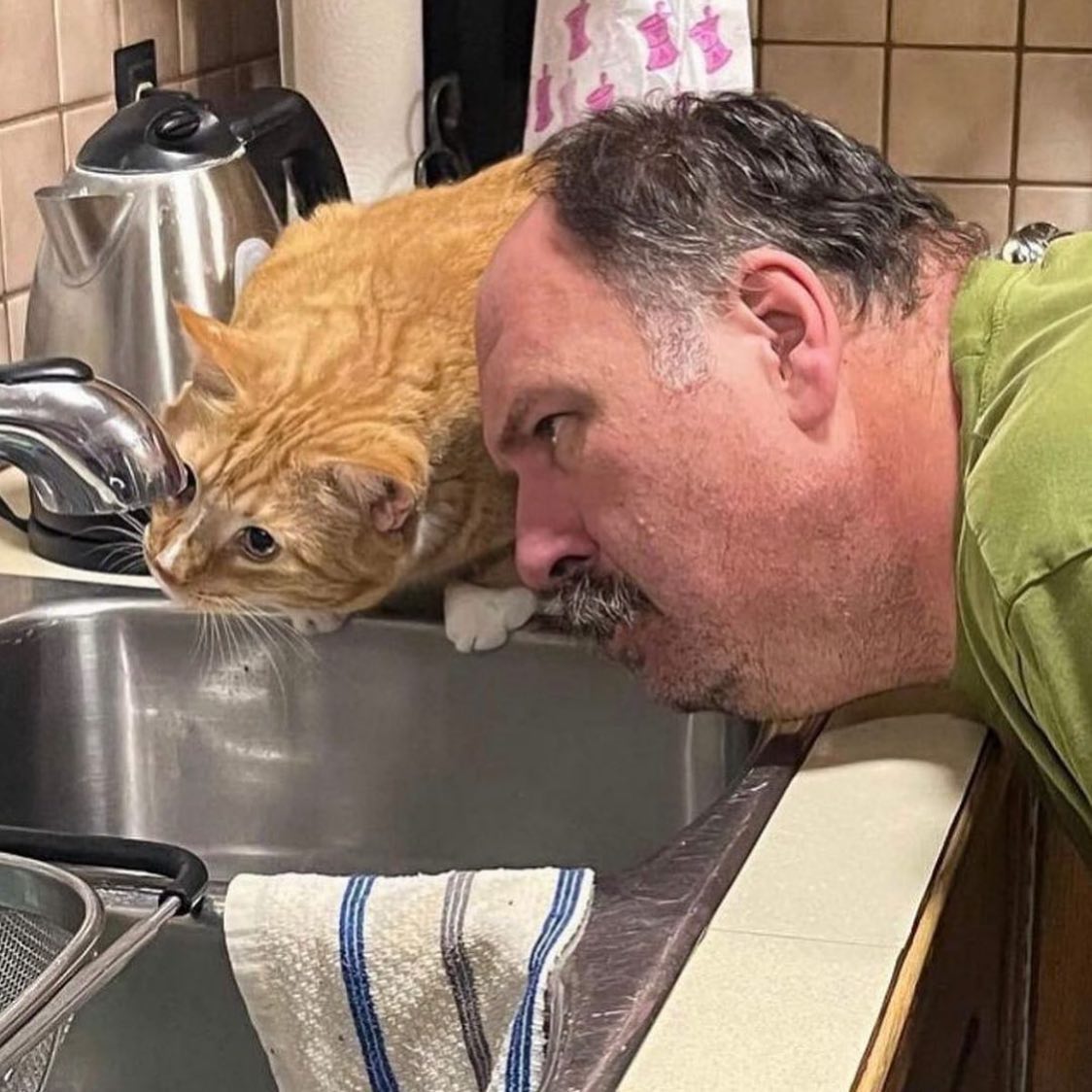 PunchingCat's tweet photo. https://t.co/psTA1rcaia