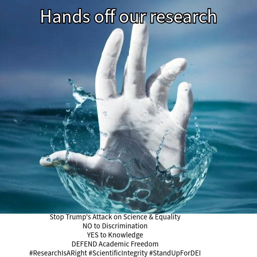 David Ruttenberg デービッド ルッテンバーグ (@davidruttenberg) on Twitter photo 