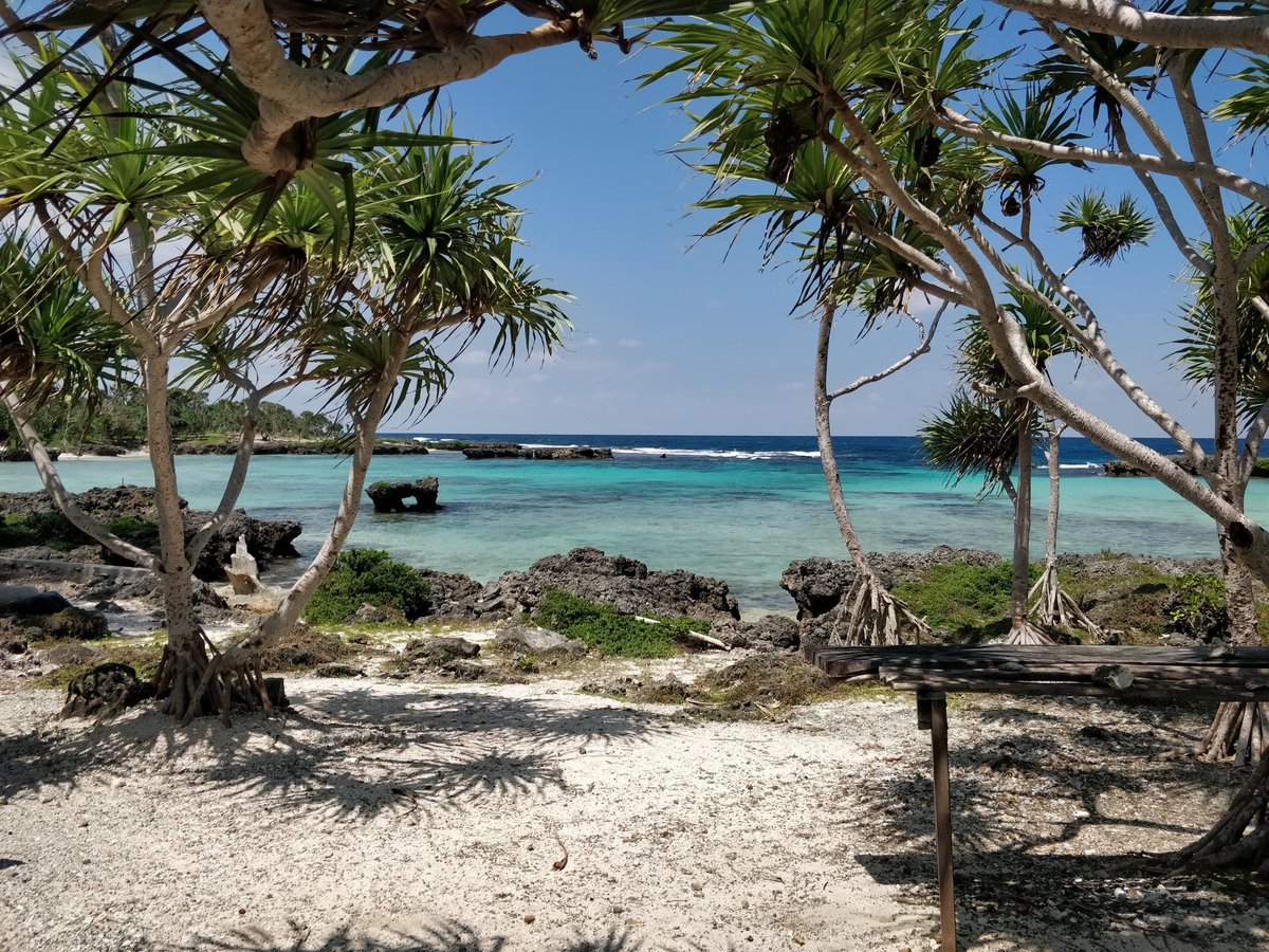 Paradise found! 🌴✨ The crystal-clear waters and lush greenery of this hidden gem in Vanuatu are calling my name. Who's ready for an adventure? #Vanuatu #Paradise #Travel #Beach #Nature #Adventure #Tropical #IslandLife #PacificTravel #ExploreTheWorld