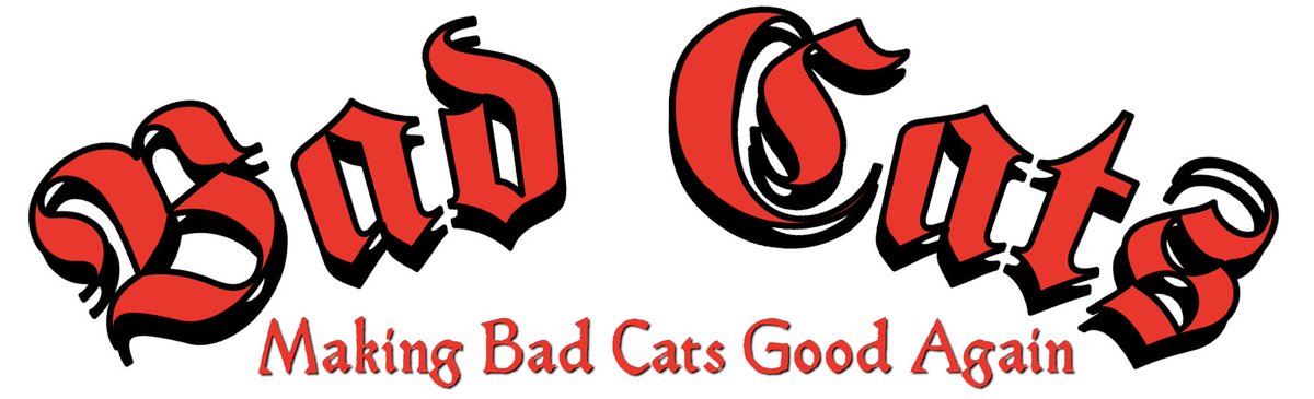 Bad Cats tweet media