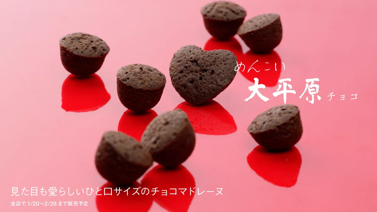 北海道限定♬︎♡六花亭 バレンタインチョコ、霜だたみ、おかげさま、チョコブラウニー 六花亭公式 on X: 