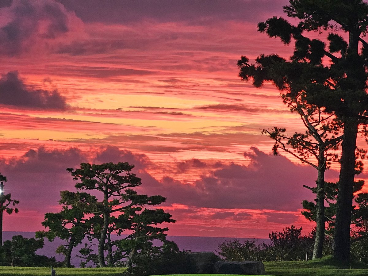 전국 야한거 좋아하시는 분들
새해 복 많이 받으시고🙇‍♂️
건강하고 잭팟 터지세요🔥

#솔남 #솔녀 #마사지 #스포츠마사지
#울산 #부산 #대구 #경주 #포항
#섹트 #맘눌뎀 #맘눌피 #오프
#초대남 #초대녀 #부부 #부커
#부부모임 #커플모임 #부커모임
#부부만남 #커플만남 #부커만남