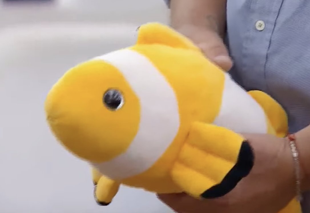 RoxanaYapura3's tweet photo. #GranHermano free Nemo! Que le manden ya mismo ese pescado!
#GranHermanoArgentina #GranHermanoAr #gh2024 #gh2025 #freenemo #pescado #dorado #freenemoo https://t.co/w4kZruCJqG